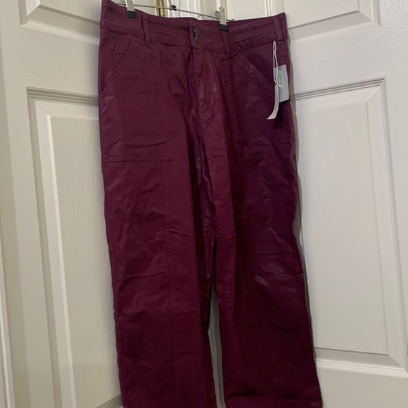 NWT Anthropologie Pilcro The Wanderer coated relaxed fit pants size 32P. - Picture 3 of 10